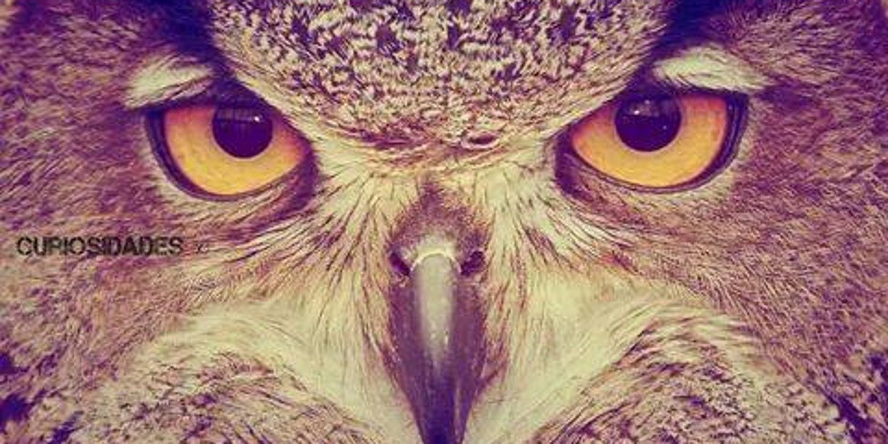 Jhojanfm's profile banner image