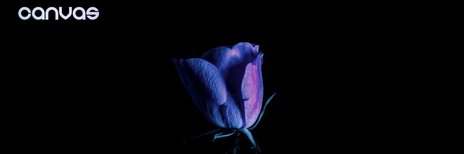 CANVASBand_'s profile banner image