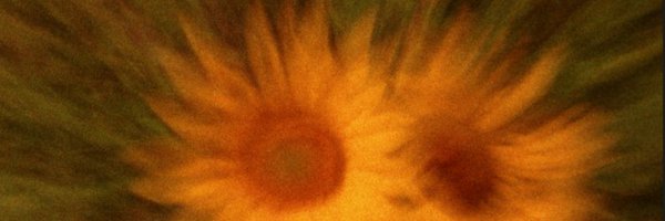 Maxwolf333 Profile Banner