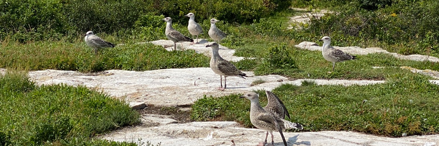 Dylan Titmuss 🏳️‍🌈🏳️‍⚧️ banner