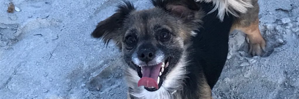 tapialopezluis's profile banner image