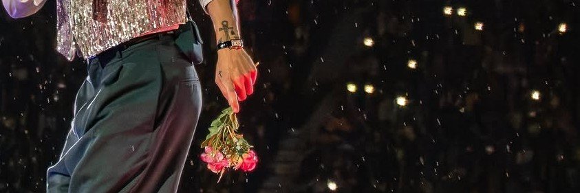 fanymon27's profile banner image