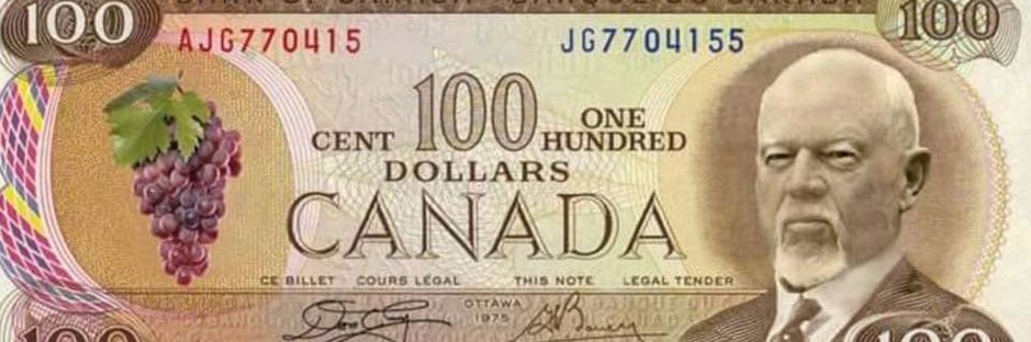 timbitshockey banner