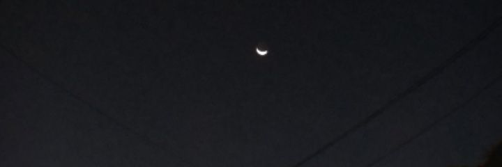 Do banner