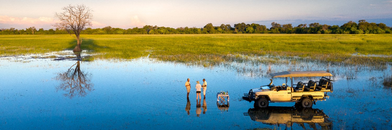 African Bush Camps banner
