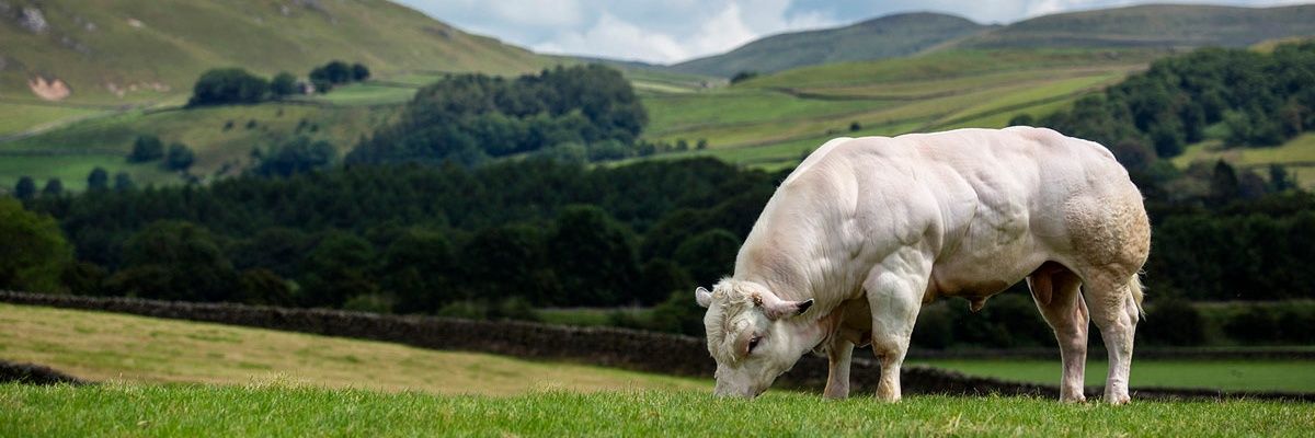 Philip Halhead banner