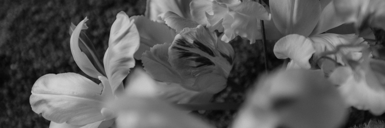 luciaboriosi's profile banner image