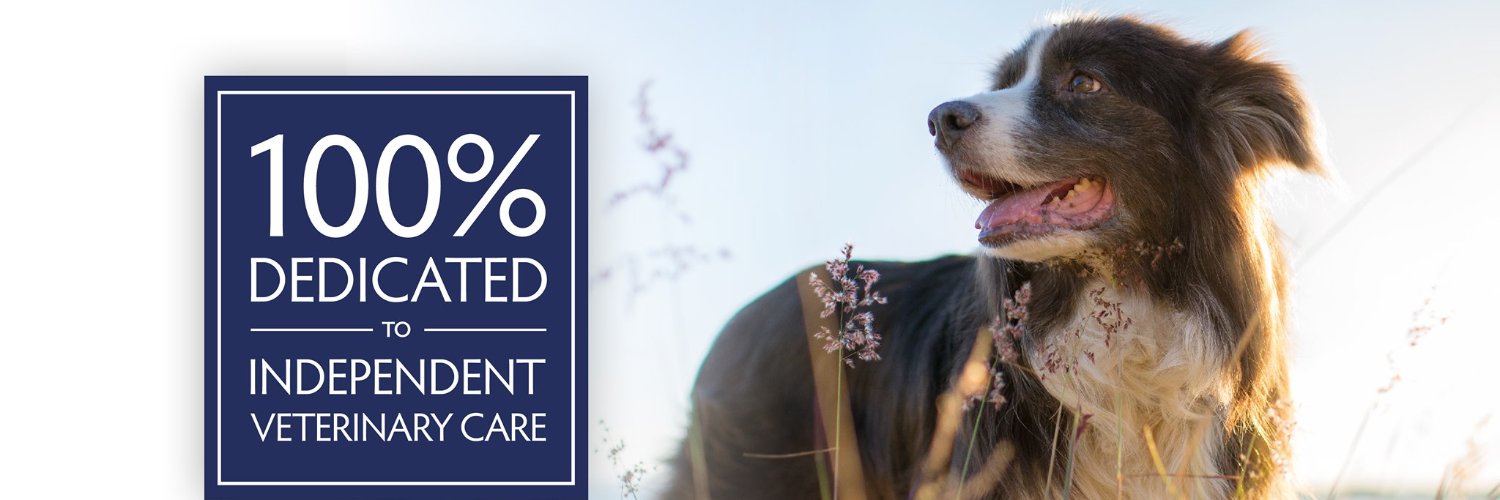 VetPlusUK's profile banner image