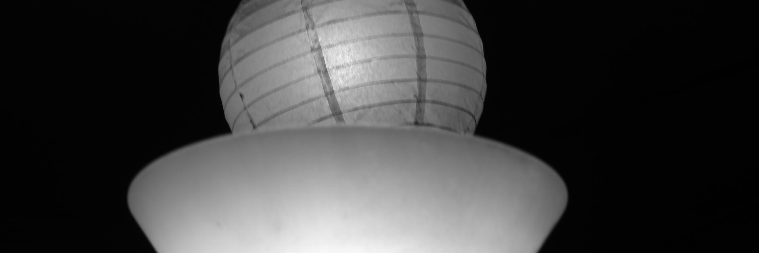 papia4's profile banner image