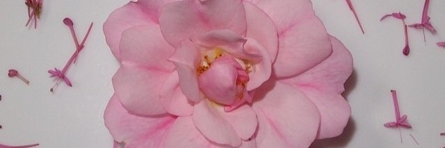 kintanyulanda's profile banner image