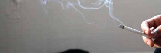 MarieRobersonMI's profile banner image
