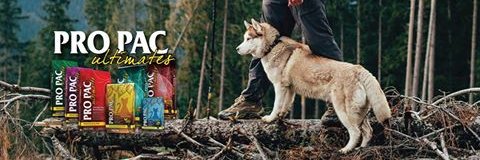 ramasavet's profile banner image