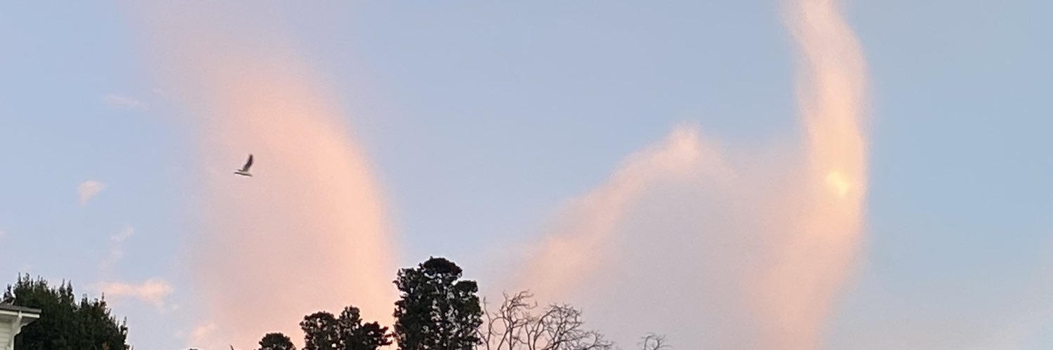 neysenizmmm's profile banner image
