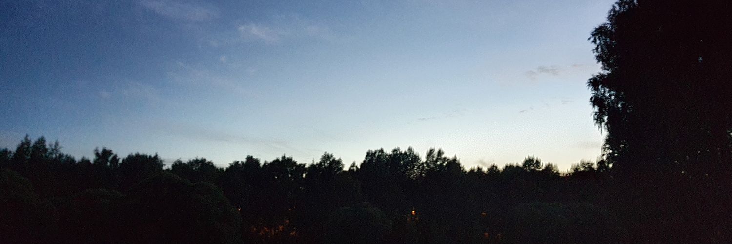 pingumarleena's profile banner image