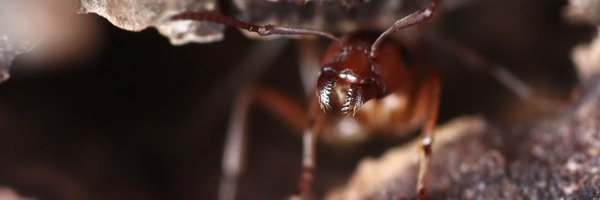 SteveTypesStuff Profile Banner