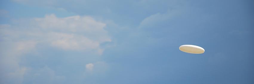 Mr Friz banner