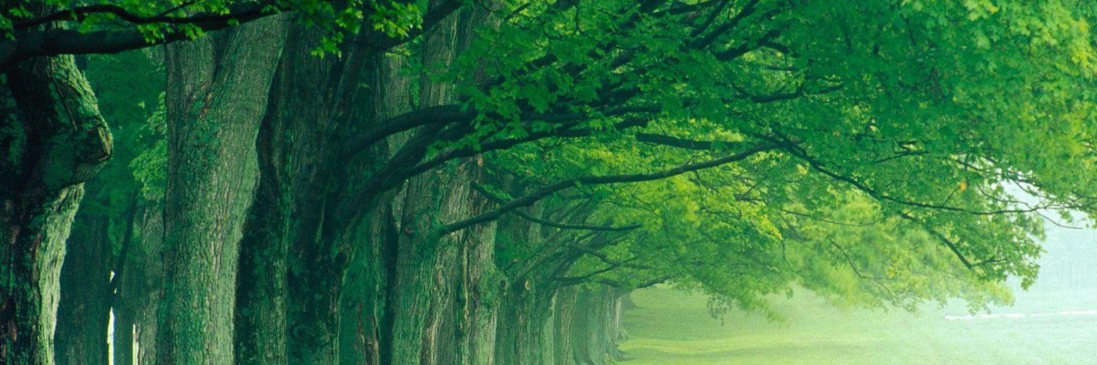 Amaya Prieto Barriuso banner