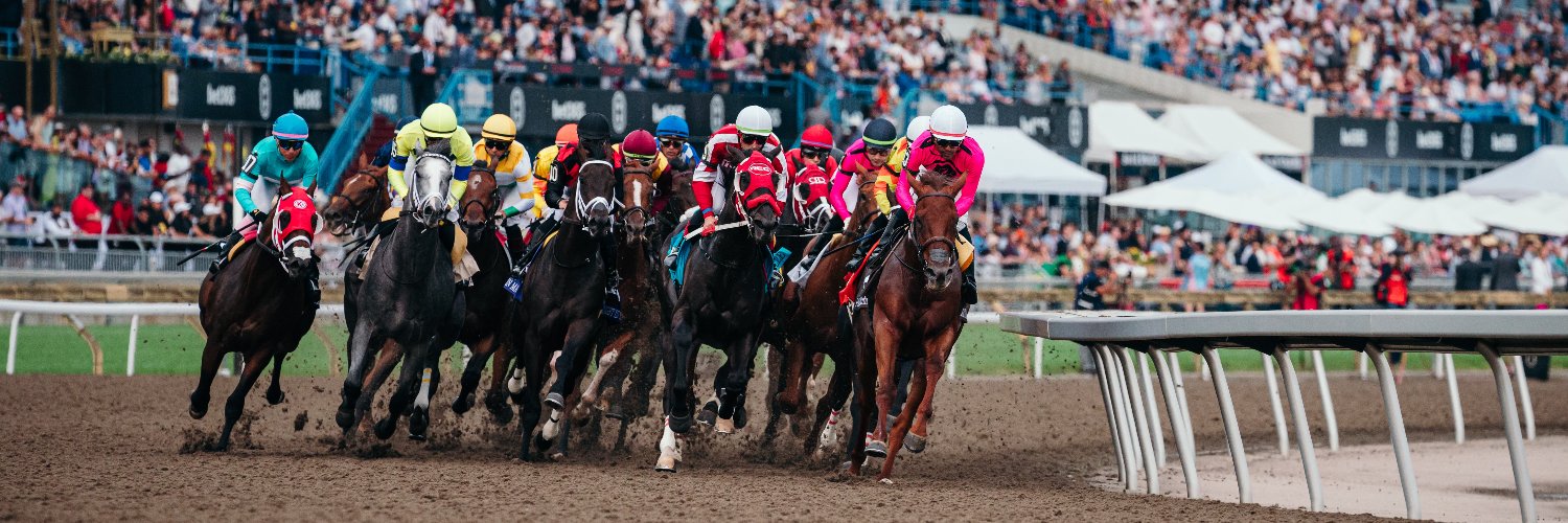 WoodbineTB's profile banner image
