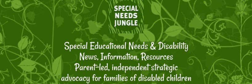 Special Needs Jungle's banner
