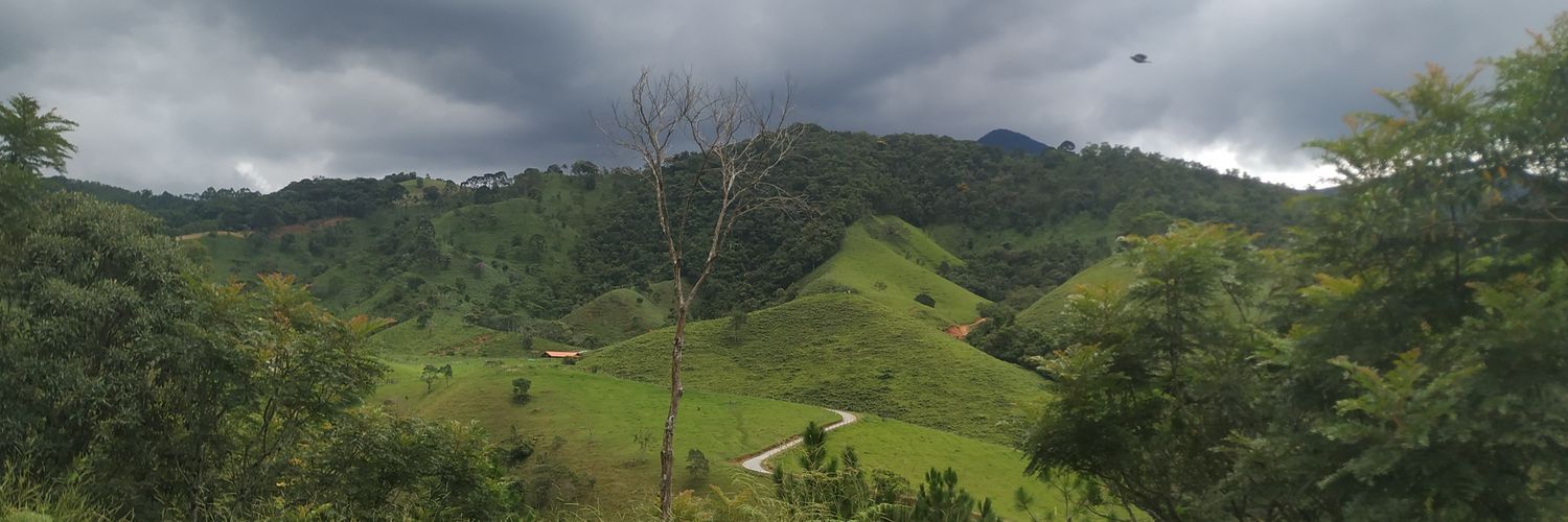 vinisverde's profile banner image