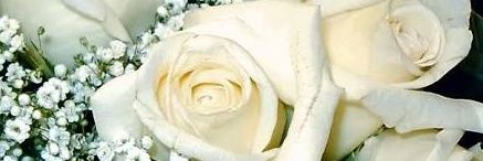 GunerIbrahim's profile banner image
