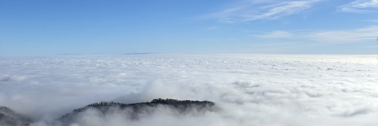 monorkin's profile banner image