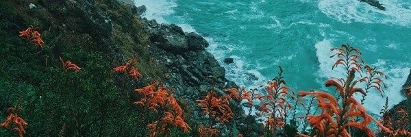 Maryflox's profile banner image