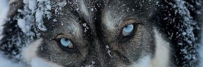 Hilalmubaraq's profile banner image