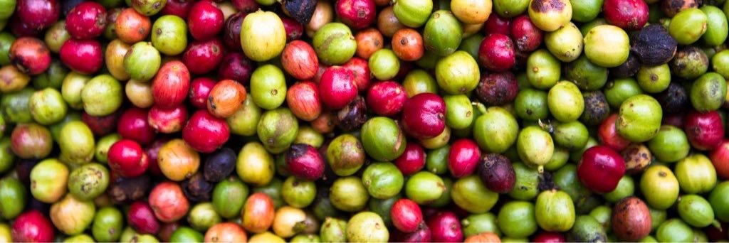 BalearicCoffee's profile banner image