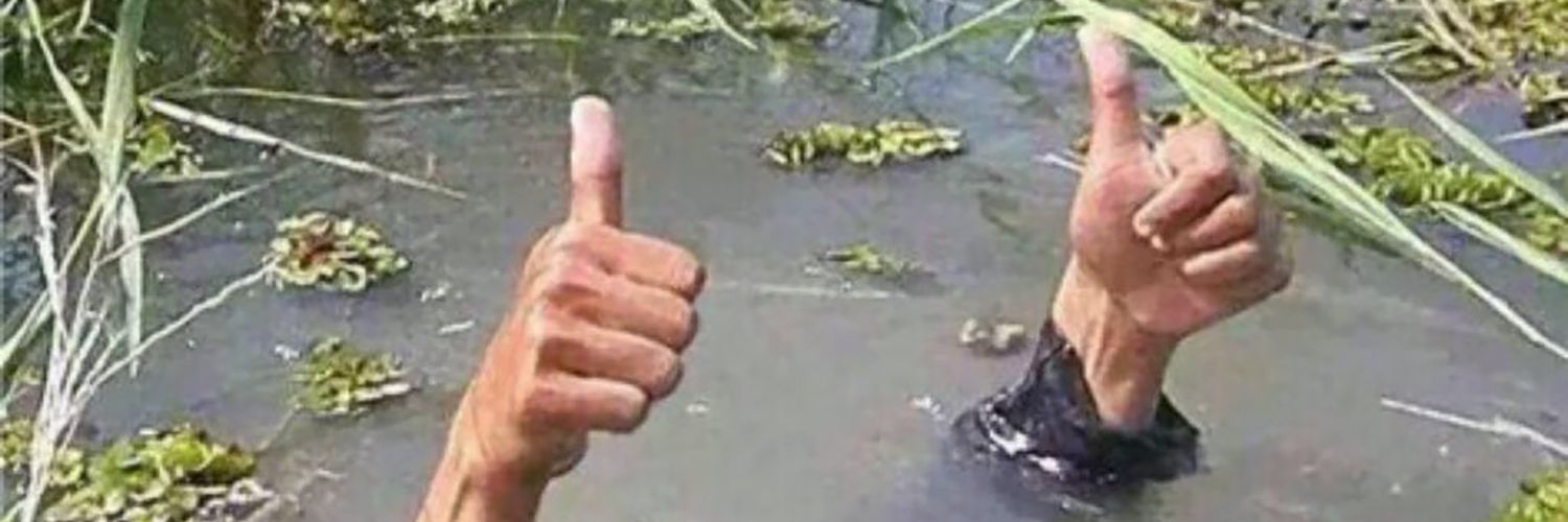 lemoitulemoe's profile banner image