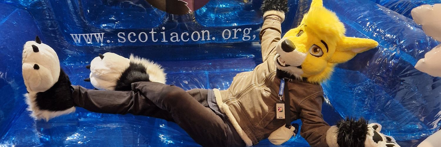 MalloyFox's profile banner image