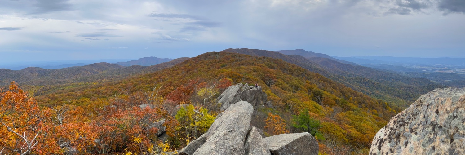 Dr. Kylynda C. Bauer, PhD banner