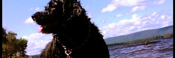 JeffRPotts Profile Banner