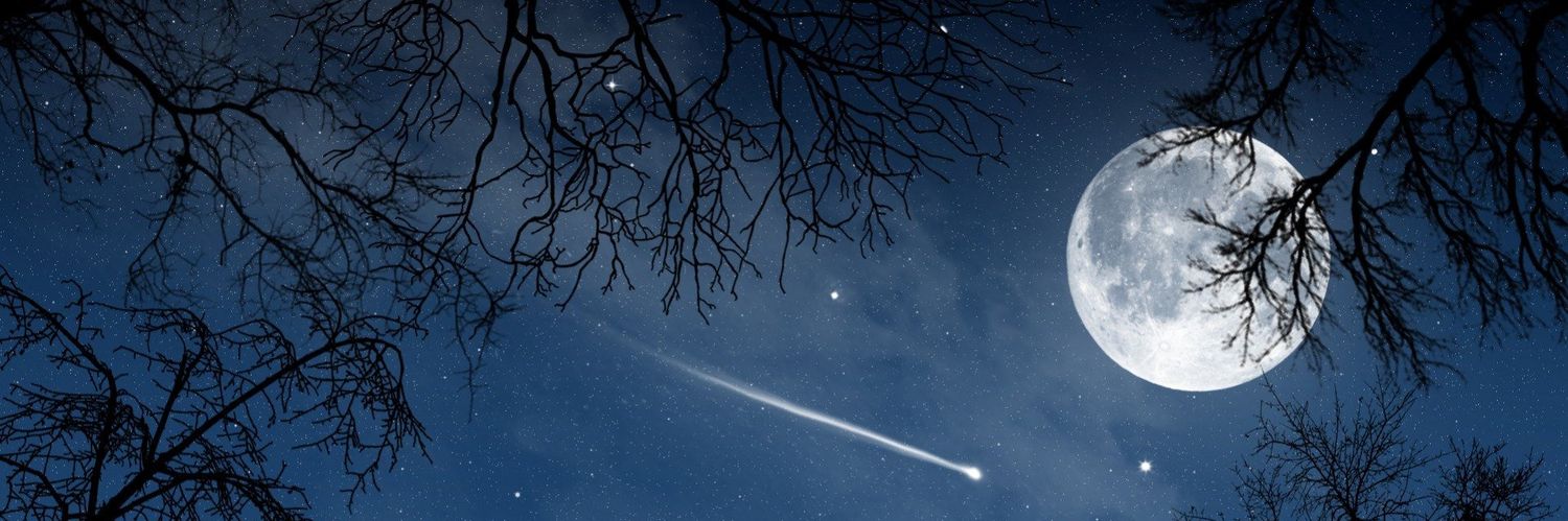 Sara_RL_'s profile banner image