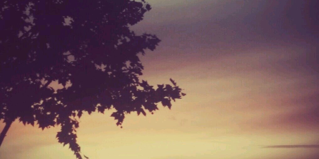 SilvissMM's profile banner image