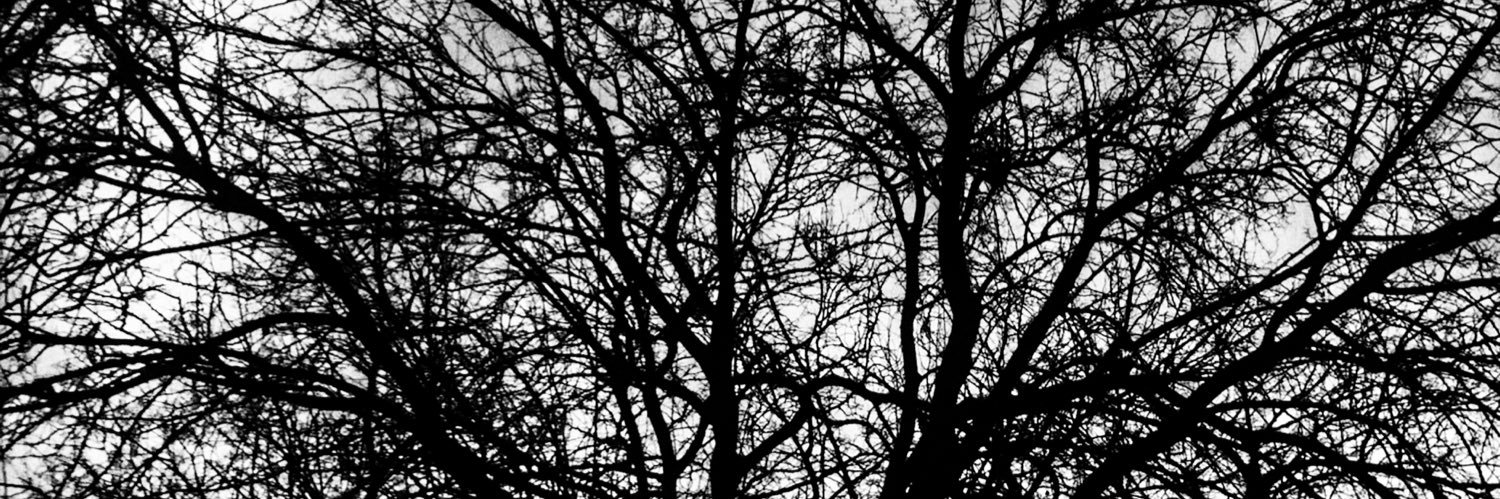 pbarquer's profile banner image