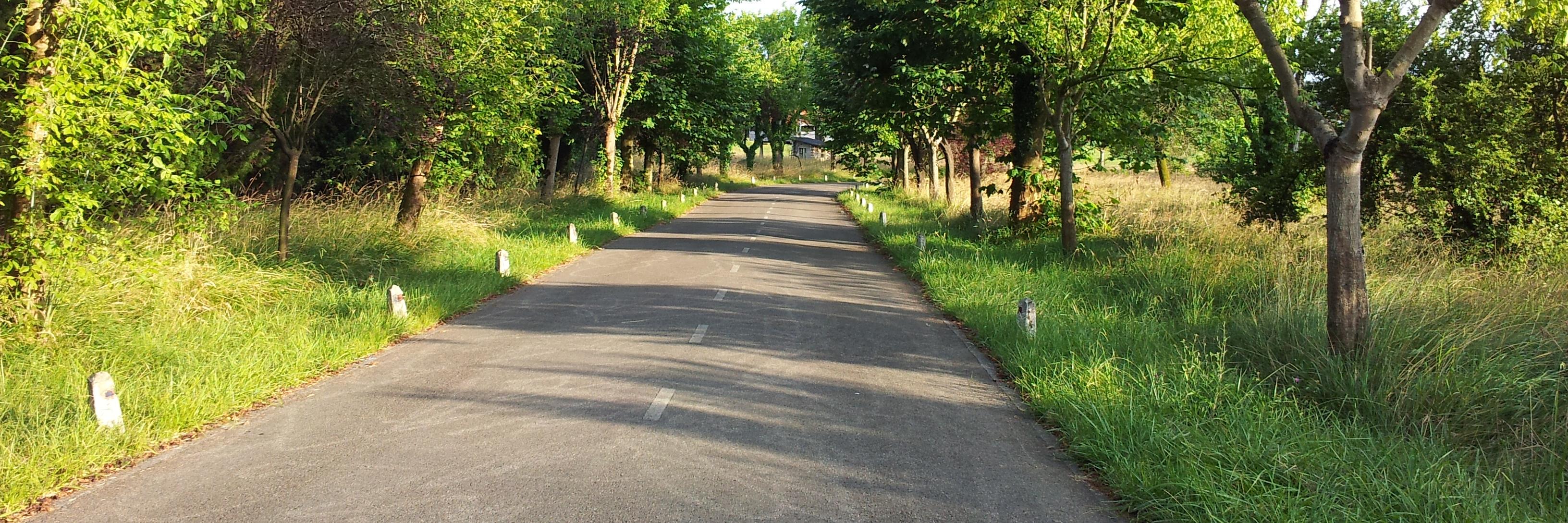 Maria Teresa Muñoz banner