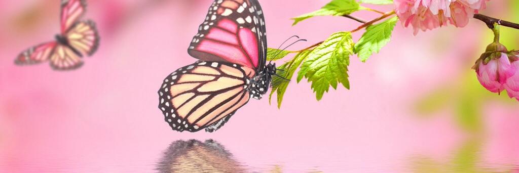 maurreenyee's profile banner image