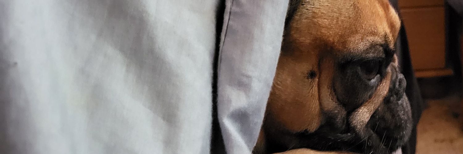 Fies_far's profile banner image