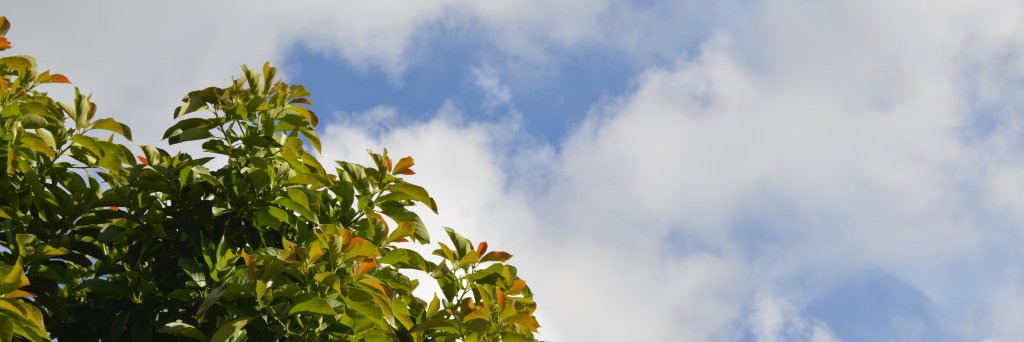 Jeansacha's profile banner image