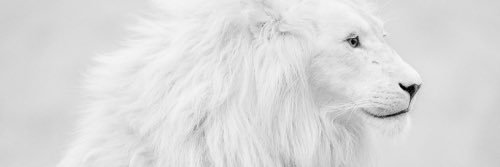 delsingh1's profile banner image
