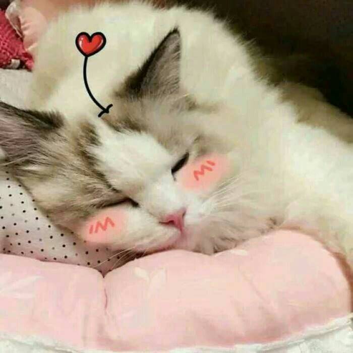=^uii^= ∫ banner