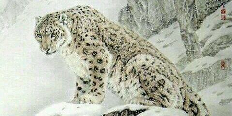 damo_sal84's profile banner image