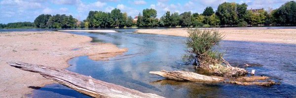 andreeblanche Profile Banner