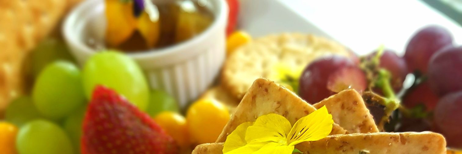 Granny Mouse SA banner