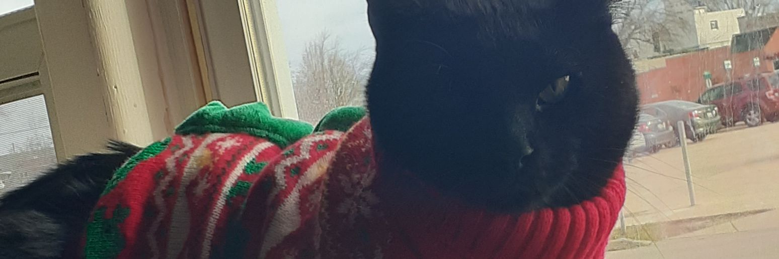 ghosttypetrainr's profile banner image