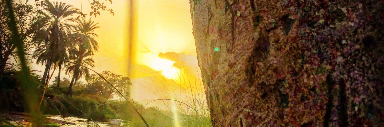 محمد بن سعيد banner