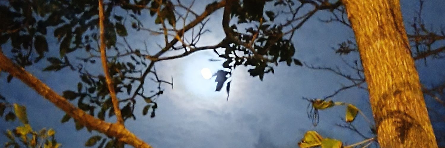 AgustinChung's profile banner image
