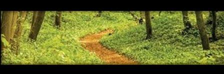 evafarma's profile banner image