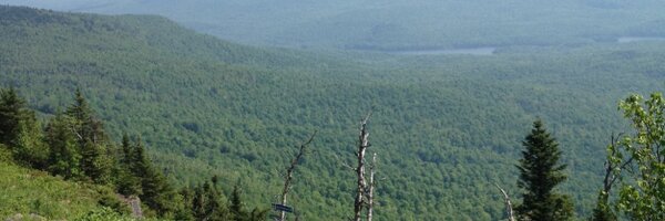 imallworried Profile Banner